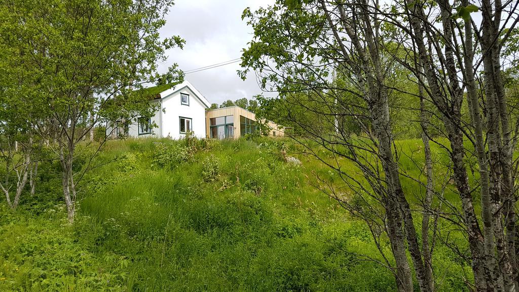 Gamtunet Lyngen Svensby Dış mekan fotoğraf