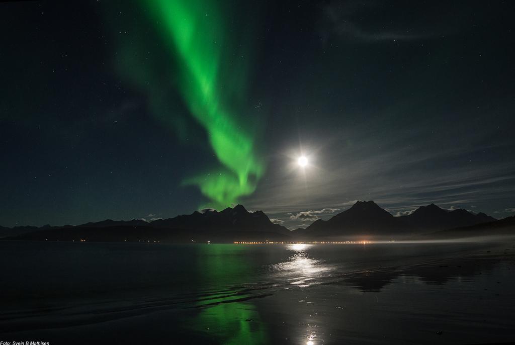 Gamtunet Lyngen Svensby Dış mekan fotoğraf